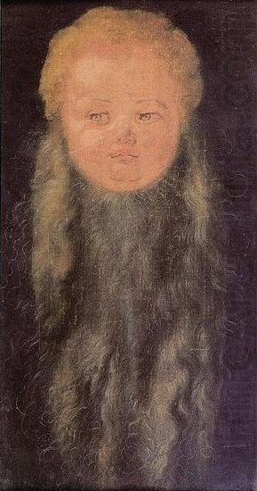 Albrecht Durer Kopf eines bartigen Kindes china oil painting image
